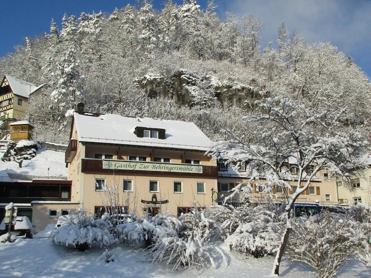 Gasthof Zur Behringersmuhle Hotel Goessweinstein Kültér fotó